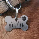 Адресник на ошейник