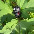 Кожаная Кукла Вуду.