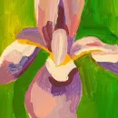 Картина Ирис на зеленом фоне маслом