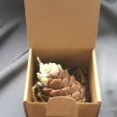 Свечи рождественские Елка и Шишка