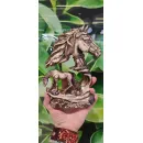 "Огненная Лошадь" Символ года 2026 сувенир