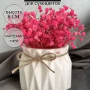 Ваза из гипса для сухоцветов