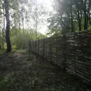 Плетеный заборчик из лозы ивы "Тын"