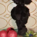 Мягкие игрушки измеха