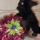 Мягкие игрушки измеха