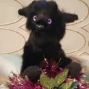 Мягкие игрушки измеха