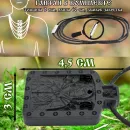 Икона Божьей Матери Семистрельная, так же «Симеоново проречение» или «Умягчение злых сердец»