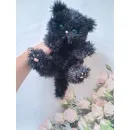 Котёнок вязаный, пушистый, черный Пушок