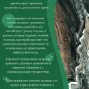 Кулон с агатом и шкурой змеи ручной работы