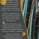 Кольцо с тигрово-соколиным глазом