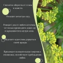 Кулон с лимонным кварцем и фенхелем