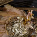 Кукла "Лаура"