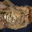 Кукла "Лаура"