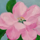 Картина маслом Цветок яблони