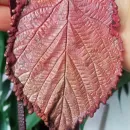 Комплект украшений «Бабье лето»: колье + серёжки