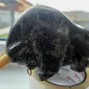 Бык из камня антраконита