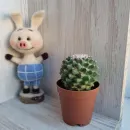 Игрушка ручной работы Пятачок