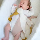 Набор для новорожденного "Гусь"