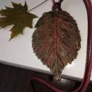 Комплект украшений «Бабье лето»: колье + серёжки