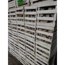 Сухие дрова для камина/бани/пикника