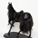 Вороной конь