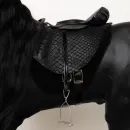 Вороной конь