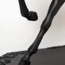 Вороной конь