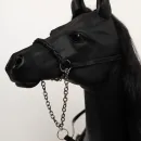 Вороной конь