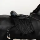 Вороной конь