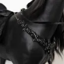 Вороной конь