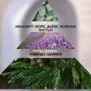 НАБОР, Аромалампа Арка PANED ART для воска и масел, аромат Лаванда Дрифтфуд