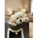 мягкая игрушка: собака Мальтезе