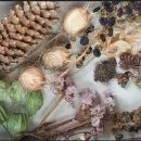 Премиальный эко-набор из сухоцветов для хендмейда и декора. МиксБОКС 2