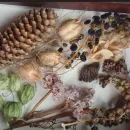 Премиальный эко-набор из сухоцветов для хендмейда и декора. МиксБОКС 2