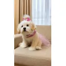 мягкая игрушка: собака Мальтезе