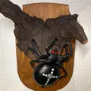 Настенное бра «Паук»