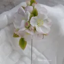 Брошь "Яблоневый цвет" из холодного фарфора