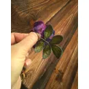 Брошь Роза Айсберг