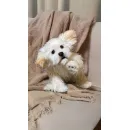 мягкая игрушка: собака Мальтезе