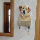 Ключница Лабрадор