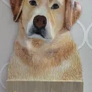 Ключница Лабрадор