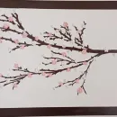 Мимолетная красота весны