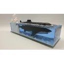 Подводная лодка проект 941 "Акула" с Большой белой акулой.