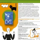 Набор VEIRA SLIM. Программа на 20 дней