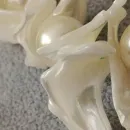 Колье из перламутра