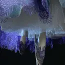 Крестная фея