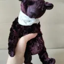 Медведь тедди " Лапушка"