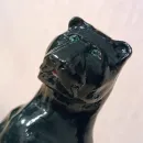 Пантера и детёныши