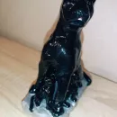 Пантера и детёныши