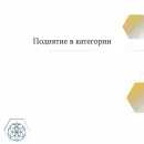 Поднятие в категории